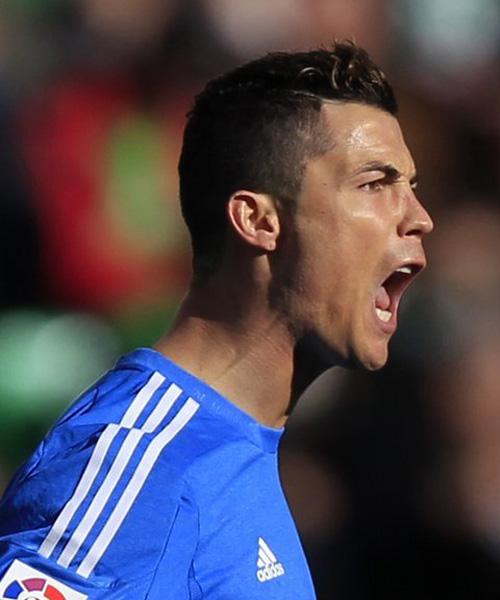 席尔瓦之所 席尔瓦之所